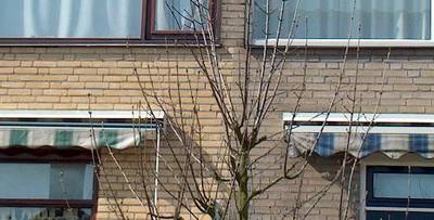 Gevel Reiniging Zoetermeer