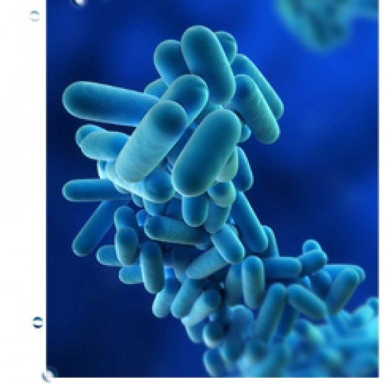 Aqua Secure - Legionellapreventie, legionellabeheersing en legionella bestrijding