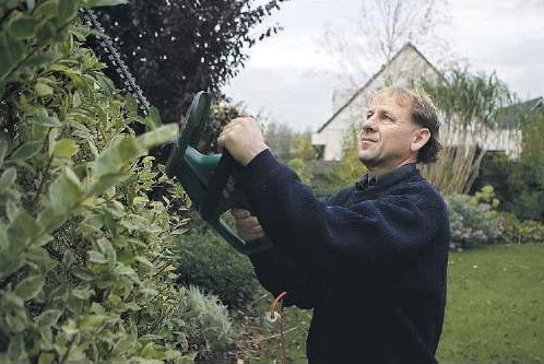 Tuinontwerp, tuinaanleg en tuinonderhoud.