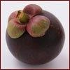 Mangosteen; a Miracle in a Bottle