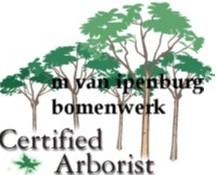 Alle voorkomende tuinklussen ,snoeien,straten,onderhoud enz