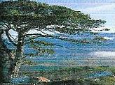 Hypnotherapie - Gesprekstherapie & Coaching
