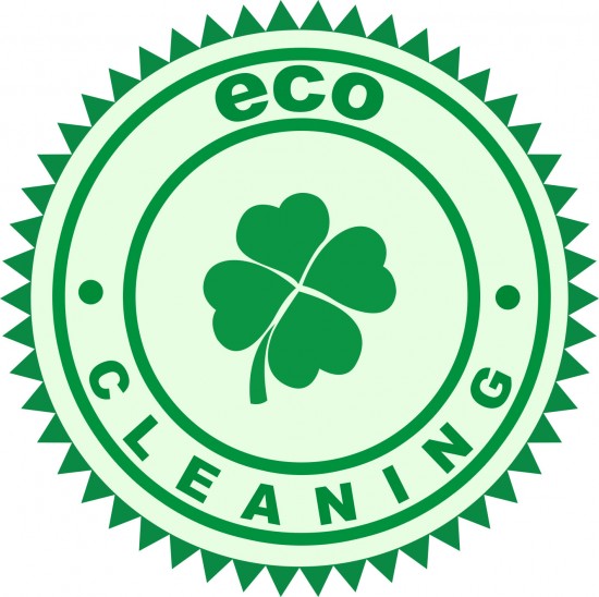 Eco schoonmaak 5 euro!