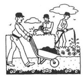 Aanleg en onderhoud van uw tuin.