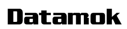 Professionele website / webwinkel nodig?