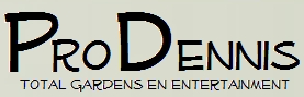 ProDennis Entertainment