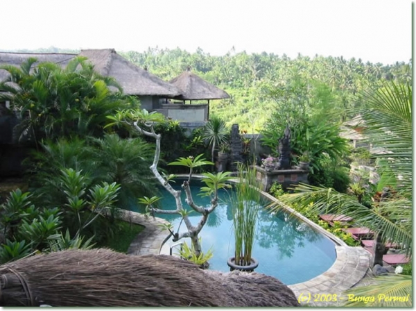 Beste plek op BALI !!!!!!