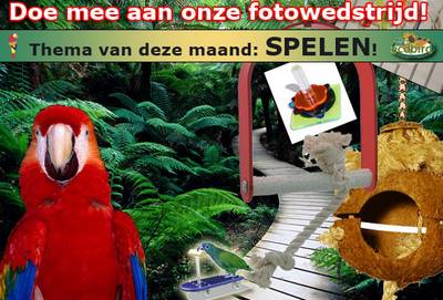 Doe mee aan onze PAPEGAAIEN-fotowedstrijd