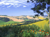 Agriturismo