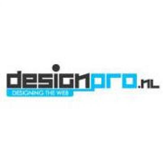 Designpro Designing The Web