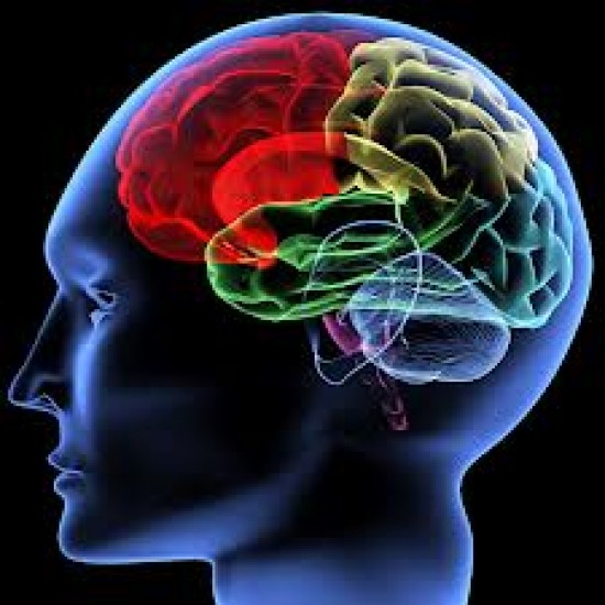 Psyschologisch onderzoek en/of ondersteuning