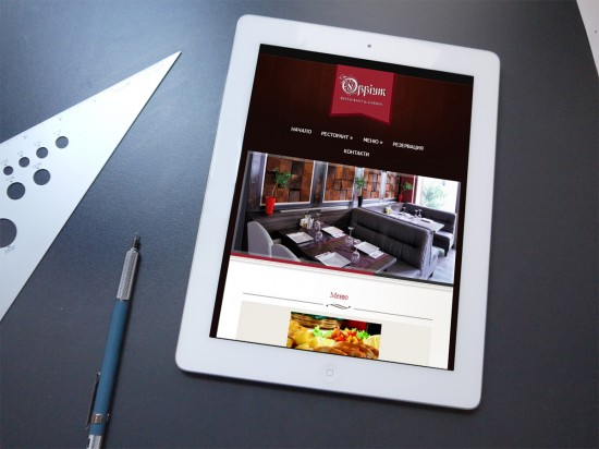 Professional Business Website only 479 euro!