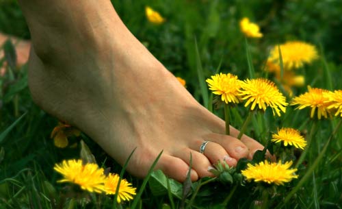Uw energie weer op peil door voetreflextherapie