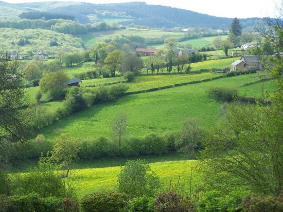 Vakantiehuis in natuurgebied De Morvan/Bourgogne