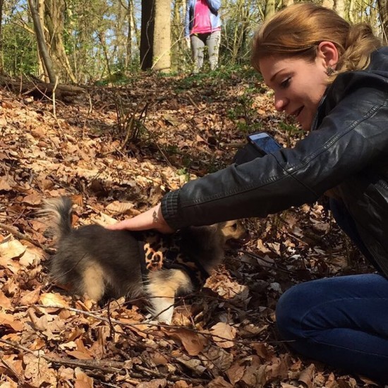 Privewandeling met uw hond, geen uitlaatservice.