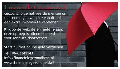 Eigen website met mogelijkheid tot goede verdiensten