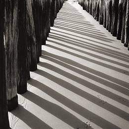 Black and white fine art photography